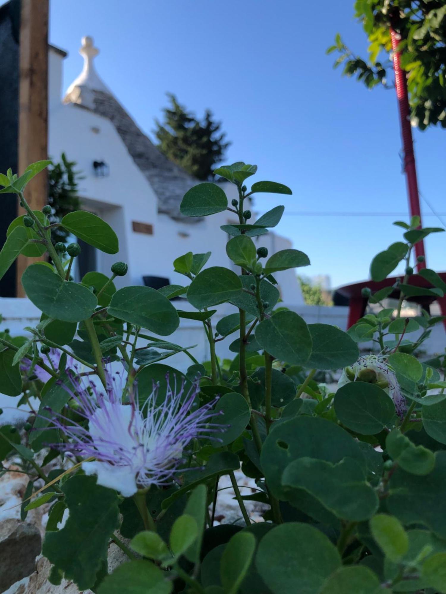 Villa Trullo Trilli Puglia Martina Franca Exterior foto