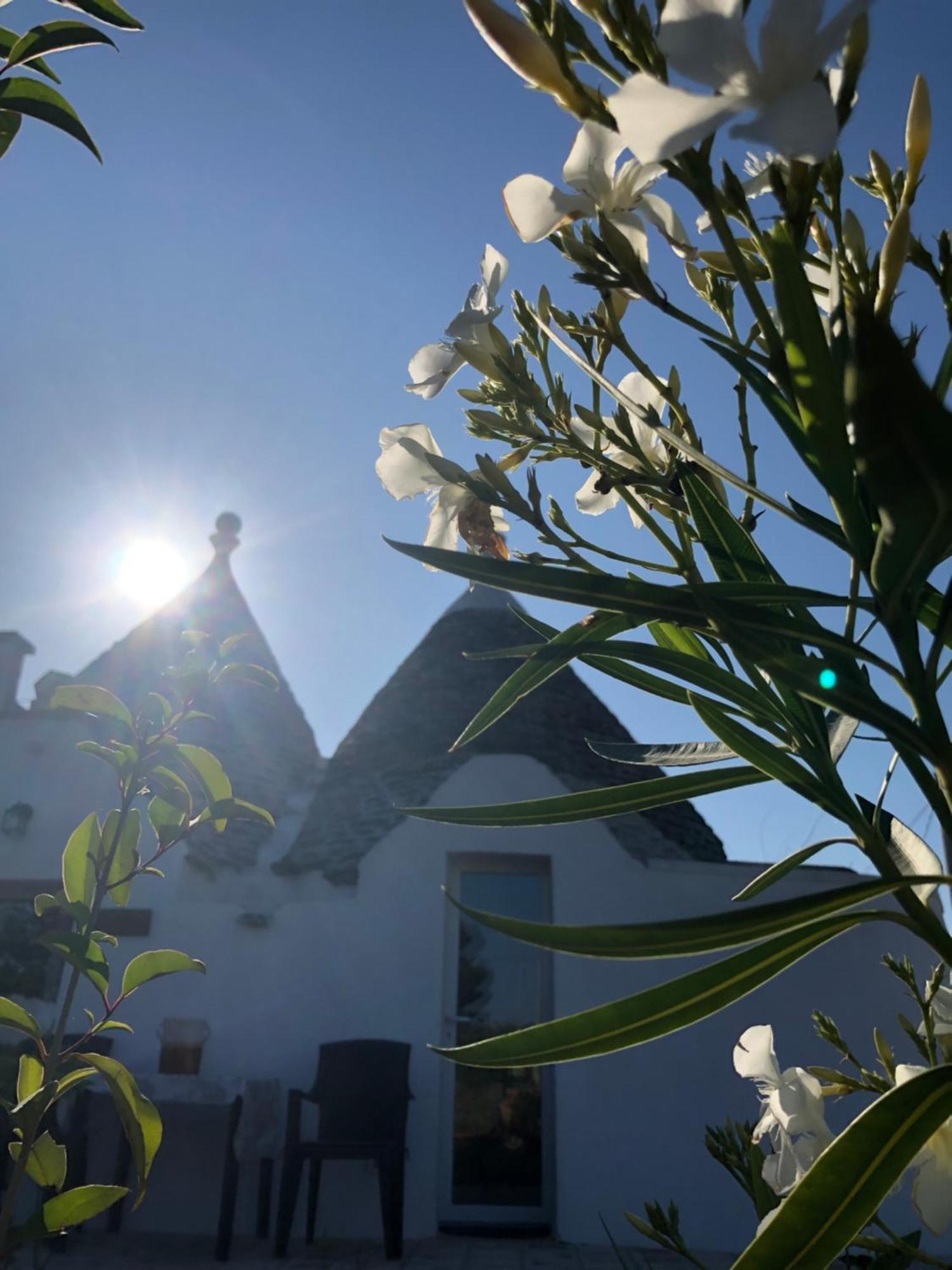 Villa Trullo Trilli Puglia Martina Franca Exterior foto