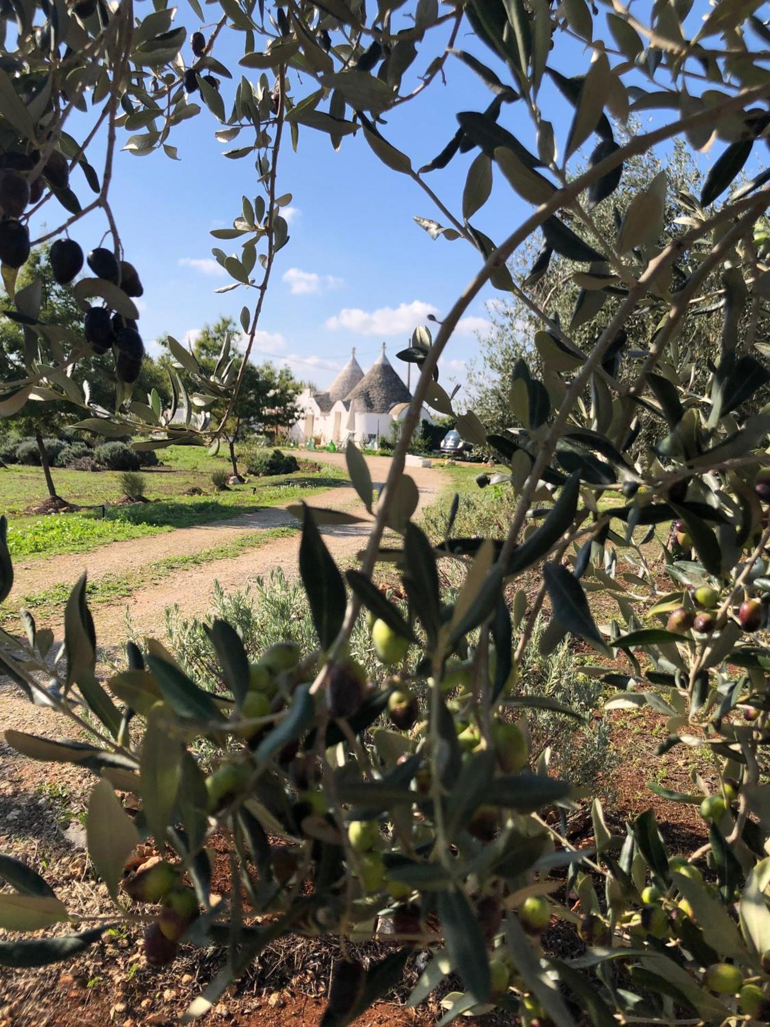 Villa Trullo Trilli Puglia Martina Franca Exterior foto