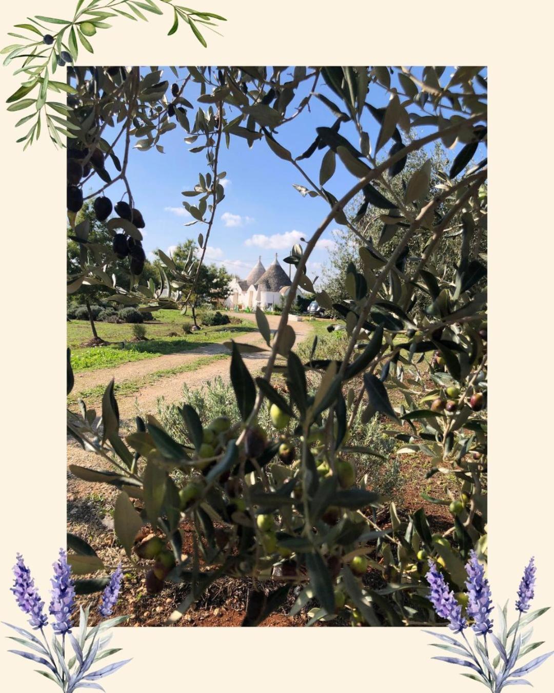 Villa Trullo Trilli Puglia Martina Franca Exterior foto